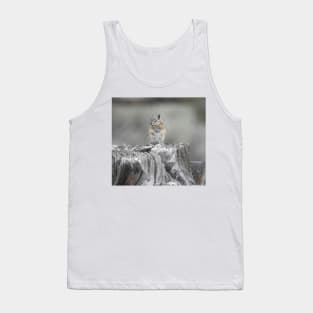 Alpine chipmunk, wildlife, gifts, cute as can be Tank Top